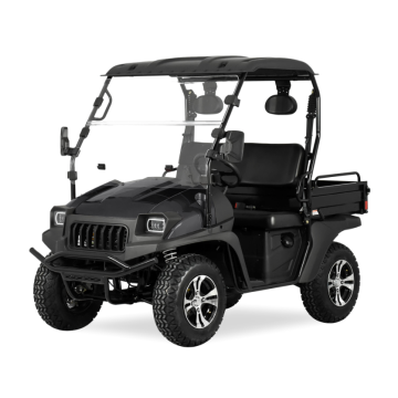 200cc, EFI Jeep-Stil Cargobox UTV-schwarze Farbe